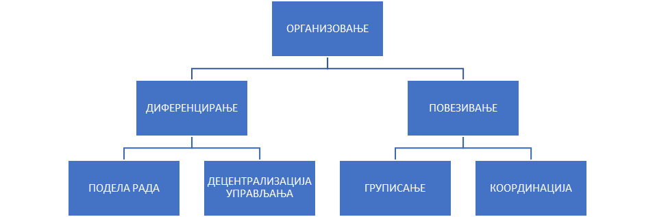 Организација и модели организације
